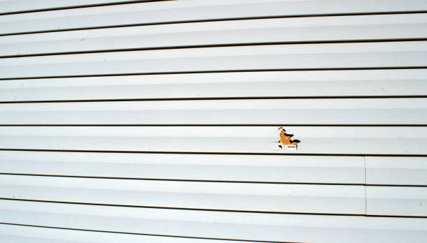 Affordable siding repair and maintenance services in Sylva, NC